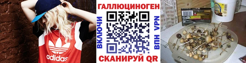 Псилоцибиновые грибы мицелий кракен tor Юрга