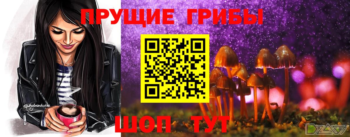 Галлюциногенные грибы мицелий  Галлюциногенные грибы ЛСД  Юрга  Вход с VPN 
